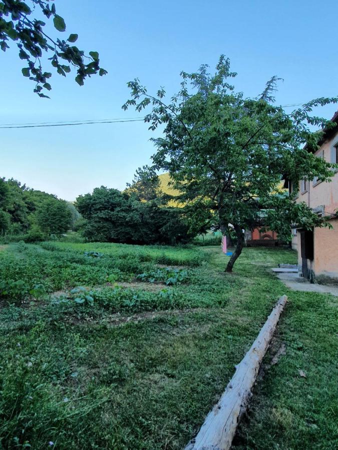 B&B Calecatine Rocca di Botte Zewnętrze zdjęcie
